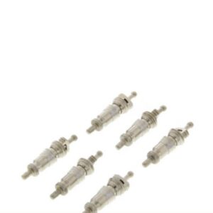 Schrader Valves (6-Pack)